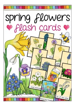 Preview of SPRING flowers flash cards - ESL / English vocabulary picture cards