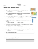 SS3G2 Longitude Latitude Globe Map Quiz