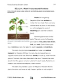 SSA/FSA Science Review SC.3.L.14.1 Plant Structures and Functions
