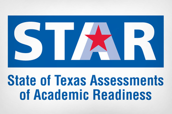 Preview of STAAR 9th Grade Summer school TEK Success Review