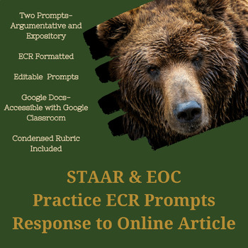 Preview of STAAR/ EOC Extended Constructed Response (ECR) Prompts (Editable)-Online Art. 1