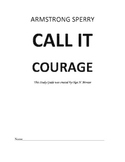Novel Study Guide to Call It Courage by Armstrong Sperry