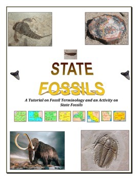 Preview of STATE FOSSILS:  Fossil Matching Activity and Terminology