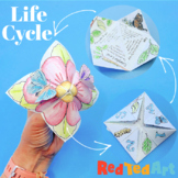 STEAM Butterfly Life Cycle Cootie Catcher - Biology Colori