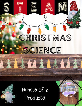 Preview of STEAM Christmas Holiday Bundle-5 Projects-Engineering,Architecture,ART,MathSci