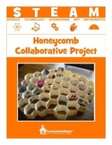 STEAM:  Honeycomb Collaborative Project