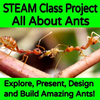 Preview of STEAM Project All About Ants