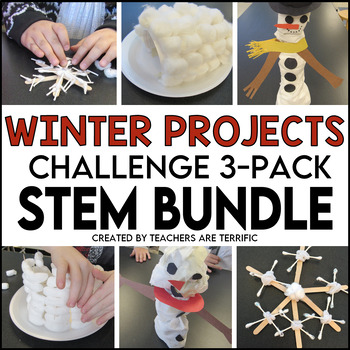 Preview of STEM Activities Winter Challenges Bundle