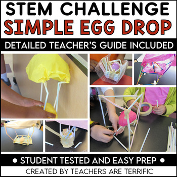 egg drop challenge ideas easy