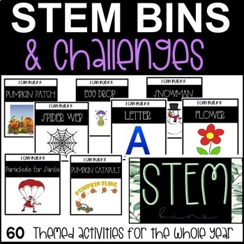 Preview of STEM Bins and Themed Task Cards