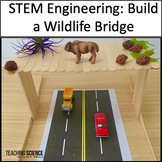 Summer Stem Activity Wildlife Bridge STEM Activity & Engin