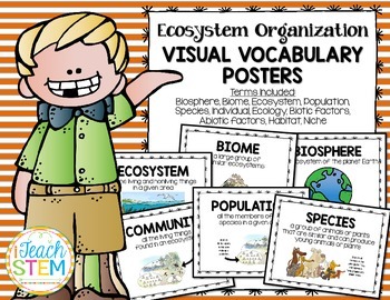 Preview of STEM Ecological Organization Visual Vocabulary Posters