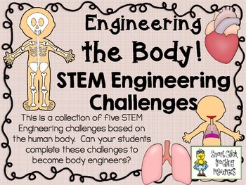Preview of STEM Engineering Challenge Pack ~ Human Body Challenges ~ Set of Five!