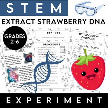 Preview of STEM Experiment Packet - Extract Strawberry DNA - Grades 3 & Up