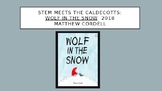 STEM Meets the Caldecotts: "Wolf in the Snow" 2018