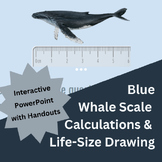 STEM PROJECT - Blue Whale Scale Drawing CALCULATION & DRAW