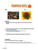 STEM Pumpkin Guts Investigation (Halloween Activity, Fibon