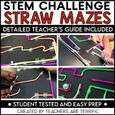 STEM Straw Mazes Easy Prep Challenge