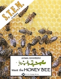 Animal Engineers: Meet the Honey Bee STEM STREAM STEAM Challenge