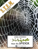 Animal Engineers: Meet the Spider STEM STREAM STEAM Challenge