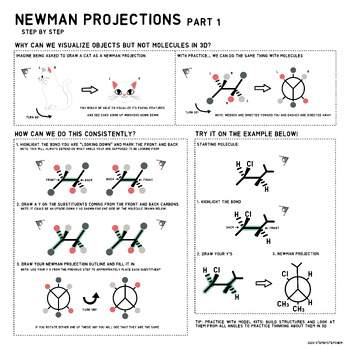 Preview of STEP BY STEP GUIDE TO BASIC NEWMAN PROJECTIONS