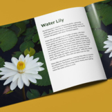 STOCK PHOTOS: Water Lily - Stock Photo, Information Card &