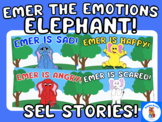 STORIES / LESSONS Social Emotional Learning. SEL ASD Autis