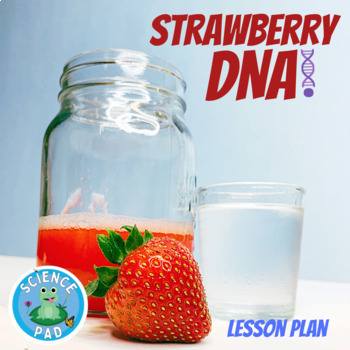Preview of STRAWBERRY DNA EXPERIMENT | No Prep DNA Lab | Home Science Lesson Plan