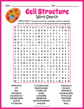 Preview of STRUCTURE & PARTS OF A CELL Word Search Puzzle Worksheet Activity - Organelles