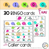 SUMMER BINGO GAME WITH PICTURES | END OF YEAR