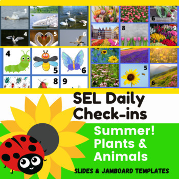 Preview of SUMMER SEL Check-ins | PLANTS & ANIMALS | Exit tickets,  Journal Writing Prompts