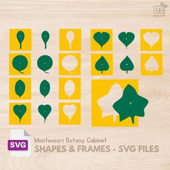 Preview of SVG Botany Cabinet Shapes Montessori Botany Puzzle Montessori Leaf SVG files