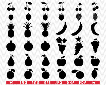 JPG cutting file Clip art SVG Vector Cricut Fruit file PNG