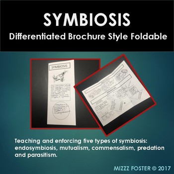 Preview of SYMBIOSIS Brochure Foldable, Graphic Organizer, Interactive Notebook