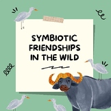 SYMBIOTIC RELATIONSHIP Activities - Animals and Birds