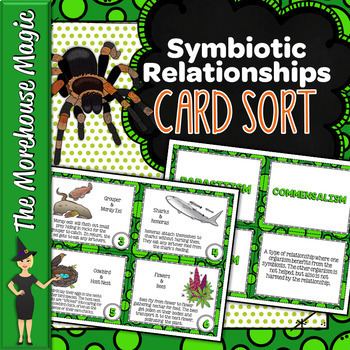 Preview of Symbiosis Card Sort | Science Card Sort