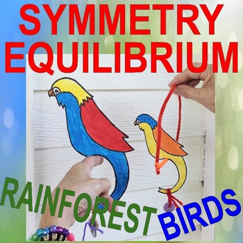 Preview of SYMMETRY, EQUILIBRIUM, ANIMALS, BIRDS, RAINFOREST PROJECT