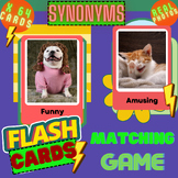 SYNONYMS Matching Game: Real Photos + Conversation Questio