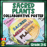 Sacred Medicinal Plants Collaborative Poster