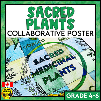 Preview of Sacred Medicinal Plants Collaborative Poster | Elementary Art Activity