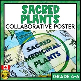 Sacred Medicinal Plants Collaborative Poster | Elementary 
