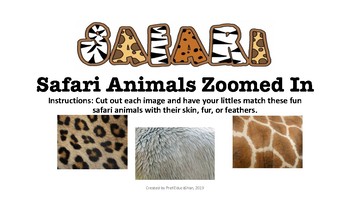 Preview of Safari Animal Prints Zoomed In