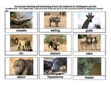 Safari Animals Matching and Keyboarding Practice