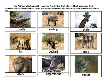 Preview of Safari Animals Matching and Keyboarding Practice