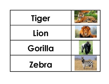 Preview of Safari/Jungle Animal Vocabulary