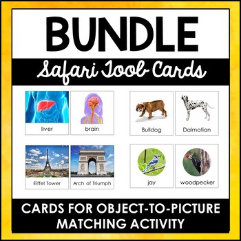 Preview of Safari TOOB and Toy-Matching 3-Part Cards Bundle | Editable