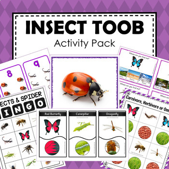 Preview of Safari  Toob Insect Preschool Kindergarten Learning Pack