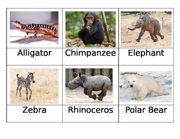 Preview of Safari Zoo Babies Matchup Cards