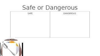 Preview of Safe and Dangerous Item Sort- Special Education