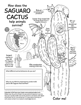 Preview of Saguaro Cactus Activity sheet